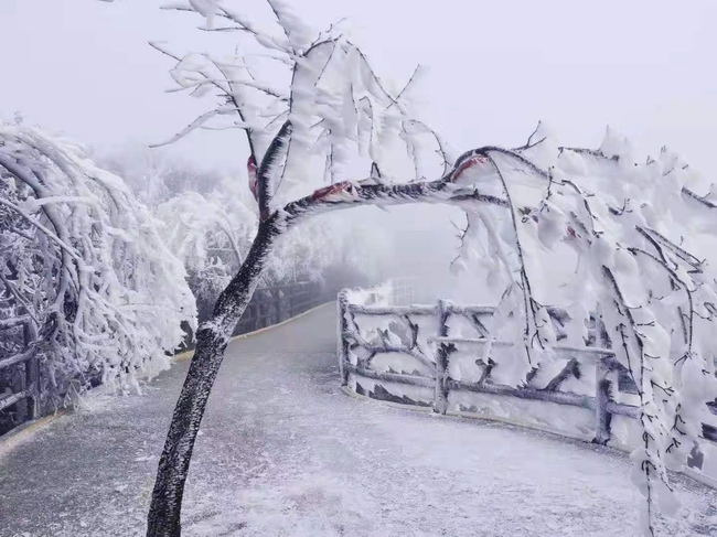 郴州旅游東江湖小東江高椅嶺莽山五指峰品質3日游2人起高鐵天天發